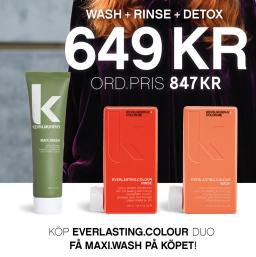Kevin Murphy Everlasting Colour TRIO Maxi Wash på köpet - Hairsale.se