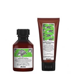 Davines Naturaltech Renewing