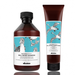 Davines Naturaltech Well-Being Duo