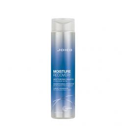 Joico Moisture Recovery Shampoo 300ml - Hairsale.se