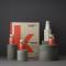 Kevin Murphy Everlasting Colour DUO - Treatment på köpet! - Hairsale.se
