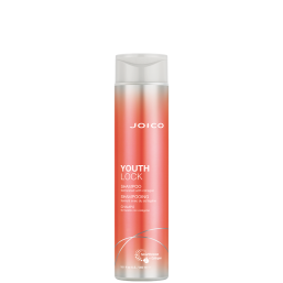 Joico Youth Lock Shampoo, 300ml - Hairsale.se