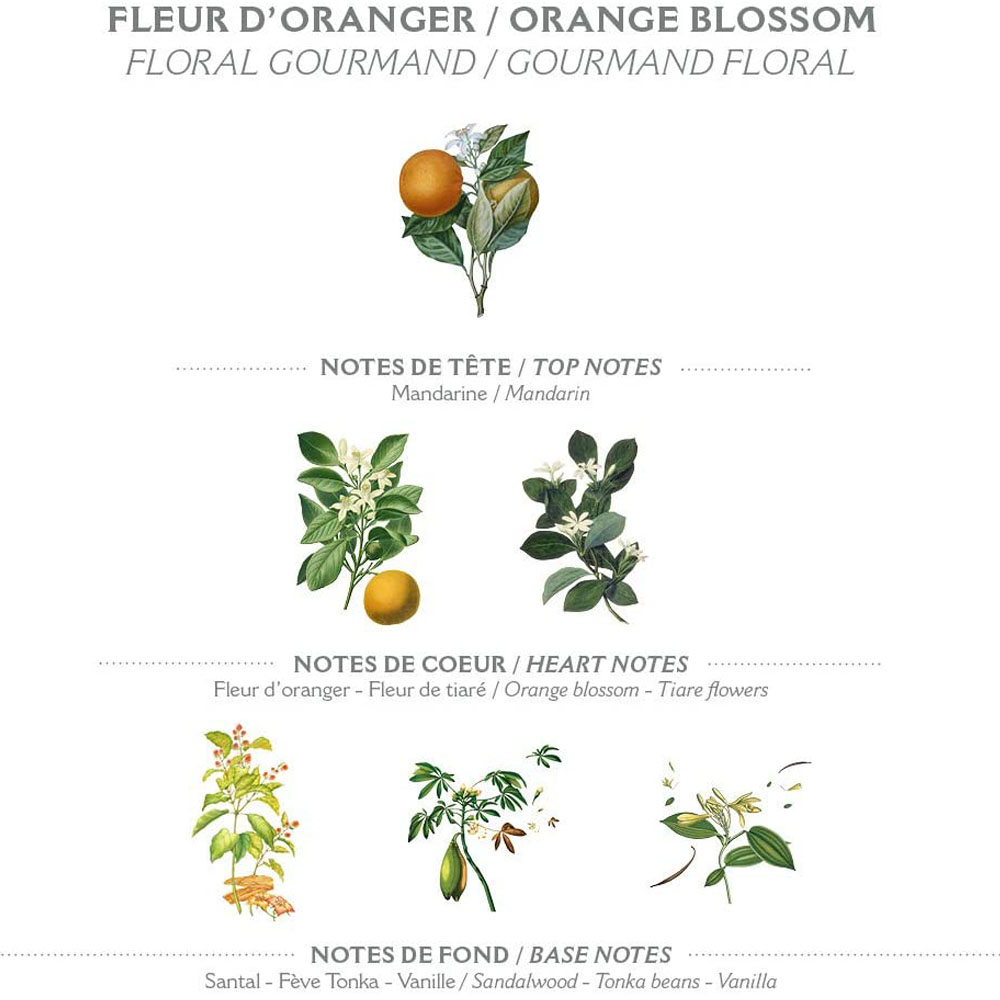 Panier des Sens Flytande Tvål 500ml Orange Blossom - Hairsale.se